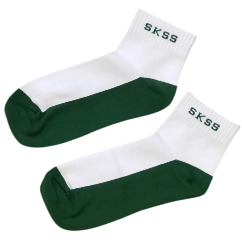 SKSS SOCKS 2.webp