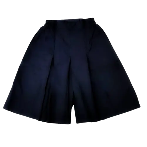 SPEC SKORTS BACK.webp