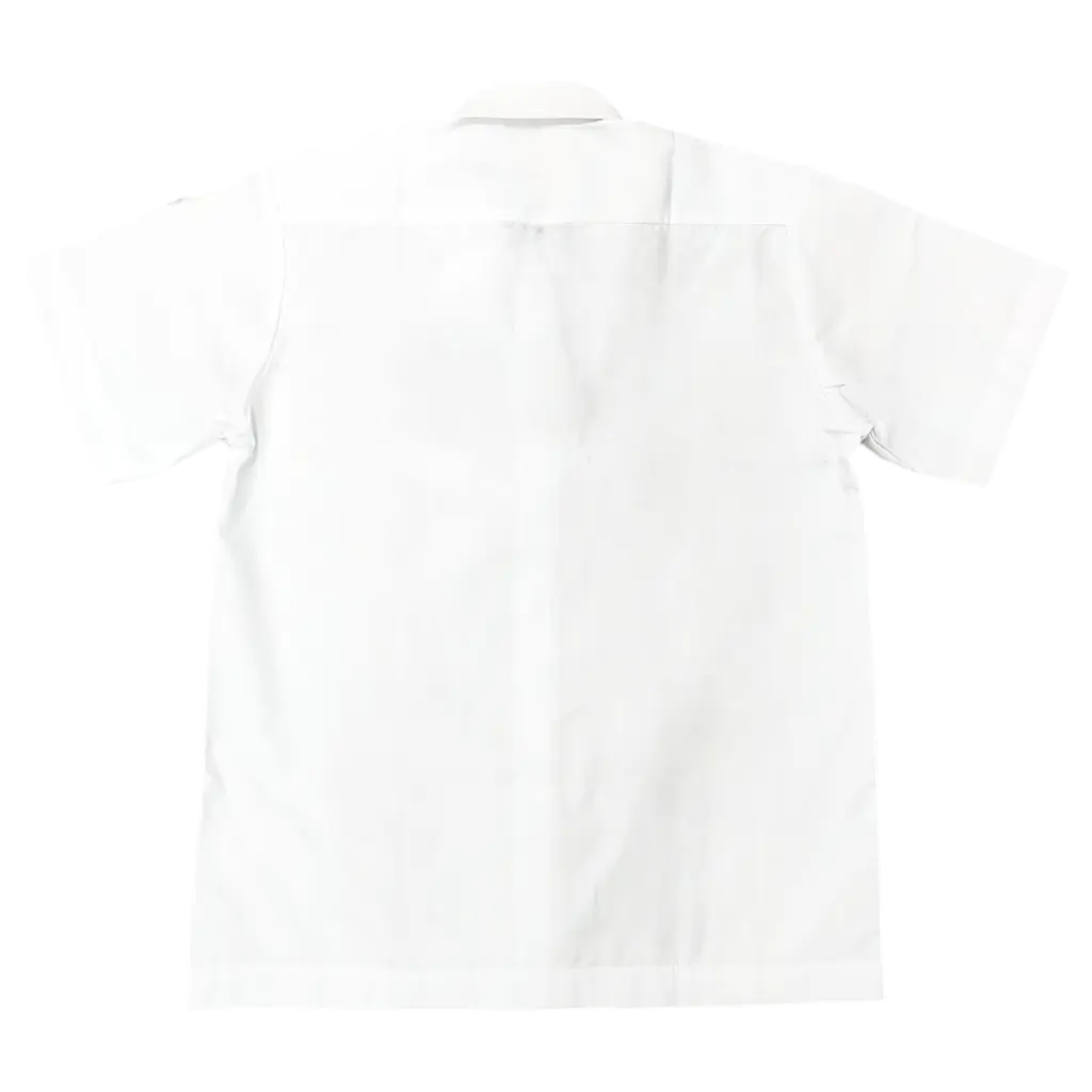 TWPS SHIRT BACK.webp