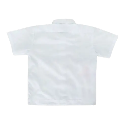 WAPS SHIRT BACK.webp