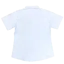 YYSS BLOUSE BACK.webp