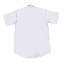 SJI_SHIRT2.webp