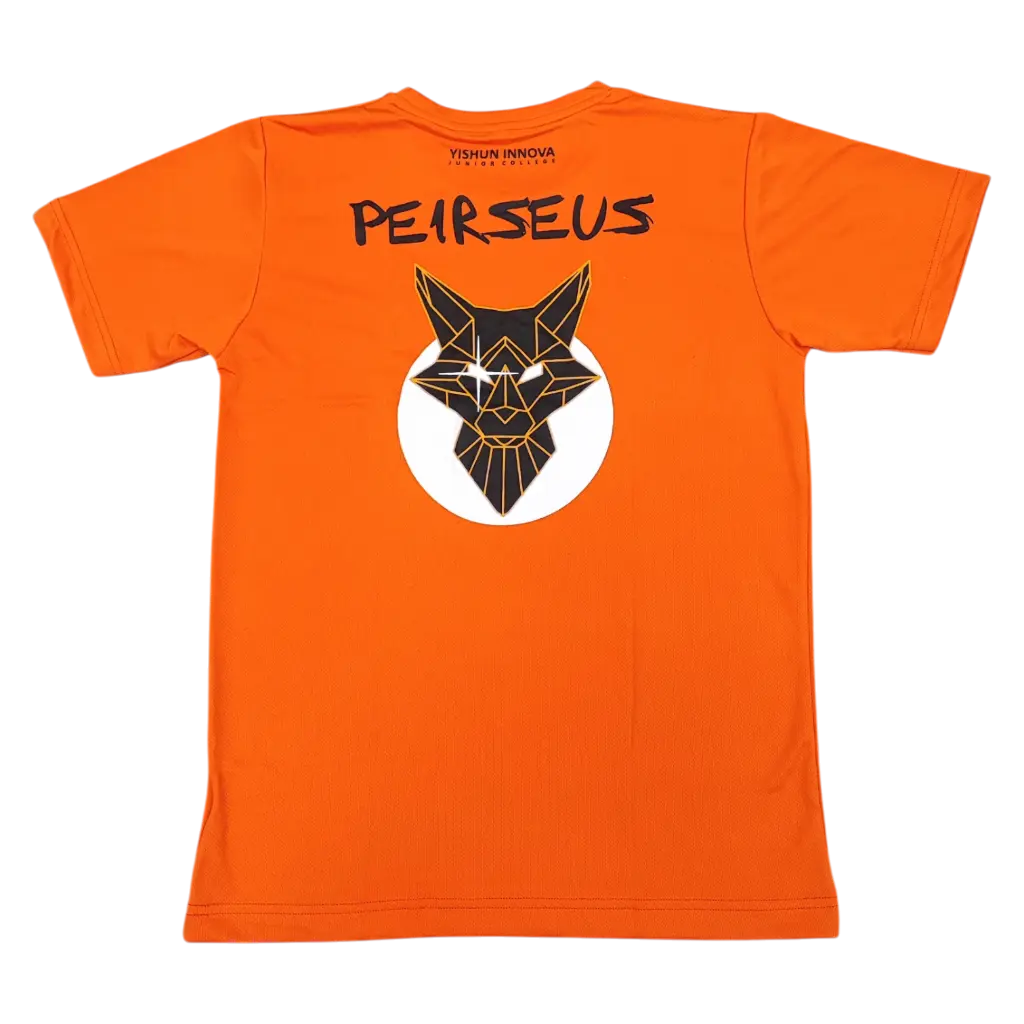 YIJC Orange Tee Back.webp