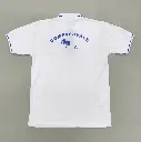 CVPS POLO SHIRT BLUE BACK.webp