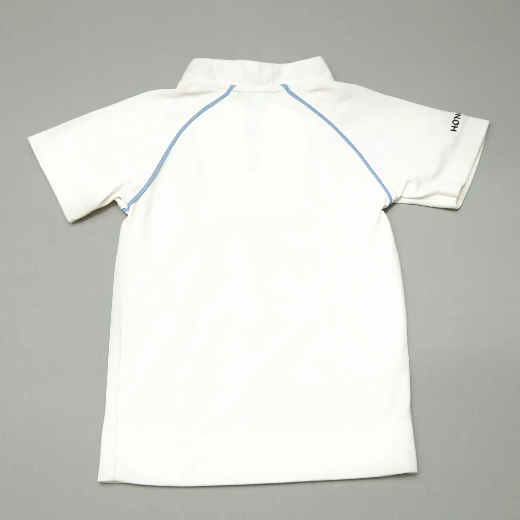 HWPS POLO SHIRT BLUE BACK.webp