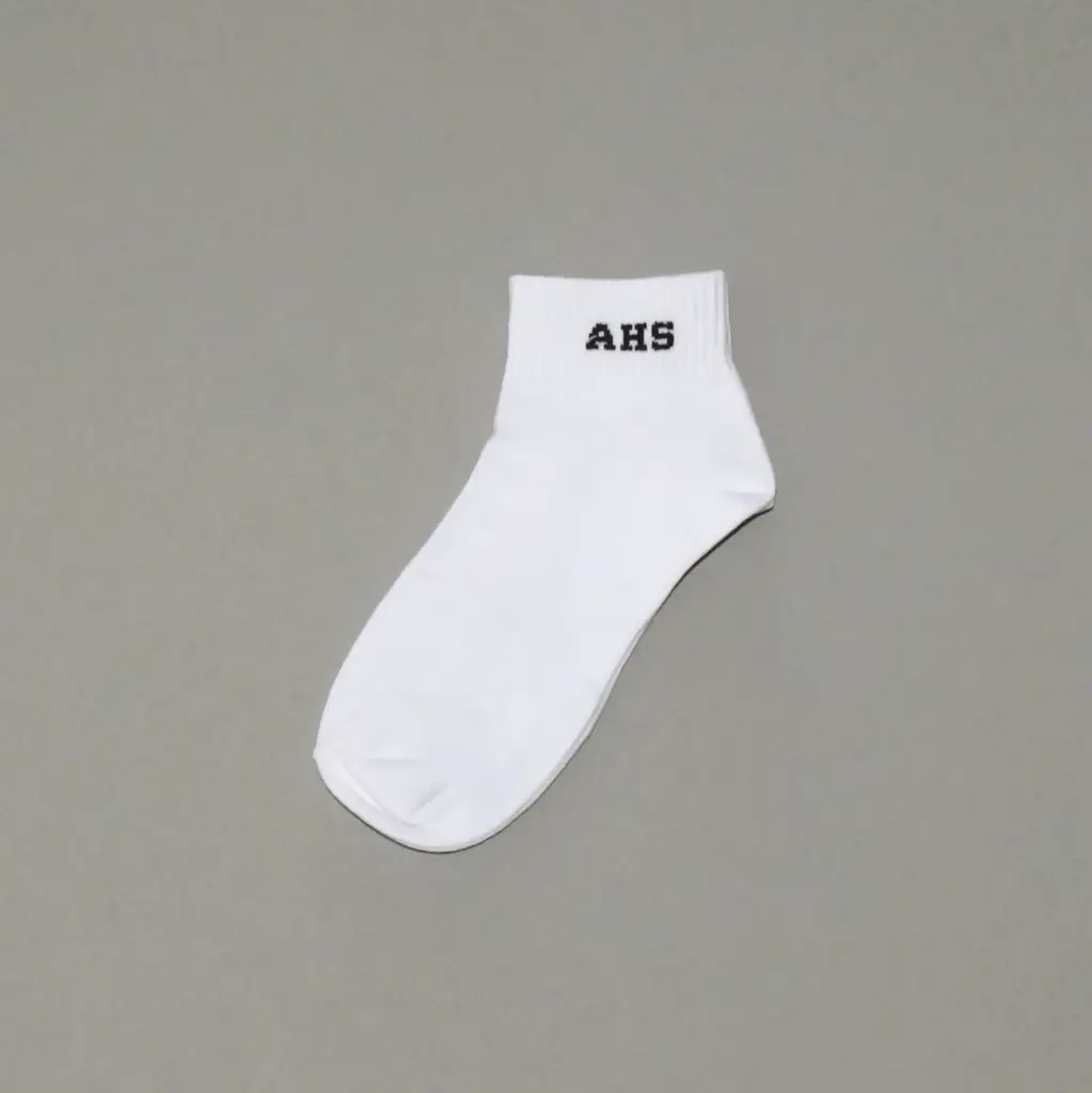 AGHS SOCKS