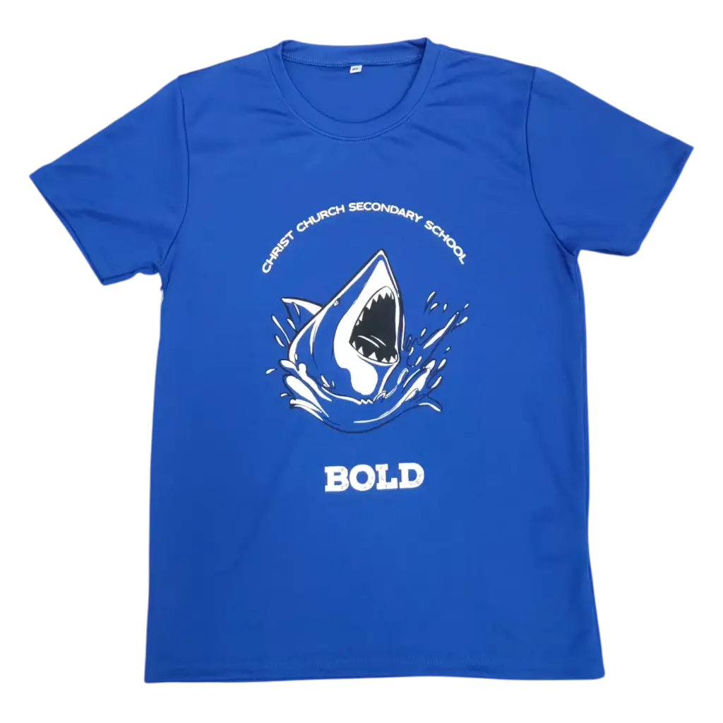 CCSS T-SHIRT BLUE