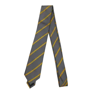 CGSS TIES
