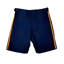 INPS BERMUDAS