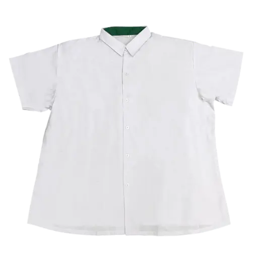 SJI BLOUSE (JC)